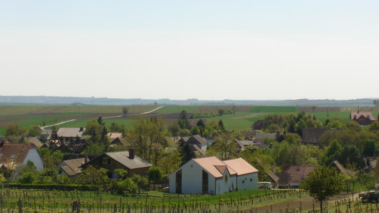 Landschaft mit Weinbergen und Dorf im Hintergrund.