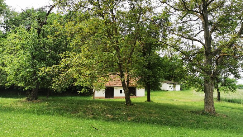 Grüne Wiese mit Bäumen und einem kleinen weißen Gebäude im Hintergrund.