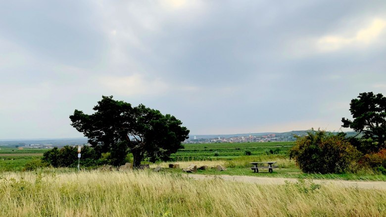 Landschaft mit Baum, Bank und weitem Himmel.