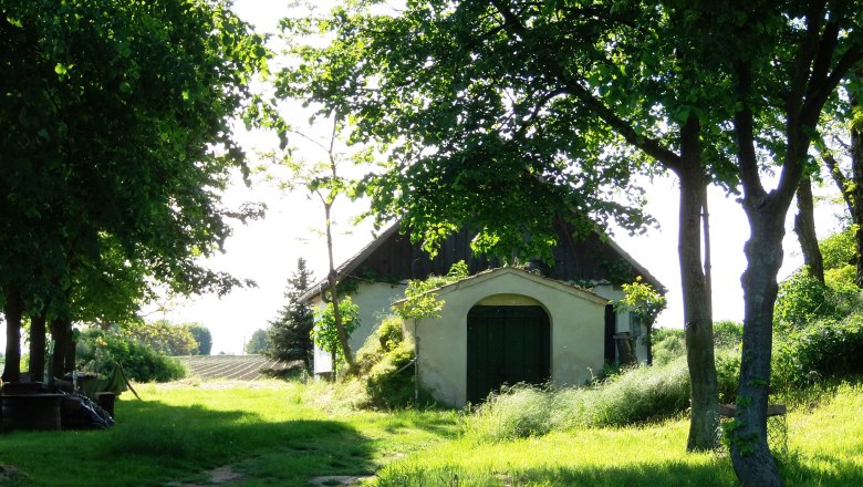Ein Weinkeller in einer grünen Landschaft mit Bäumen und Wiese im Weinviertel.