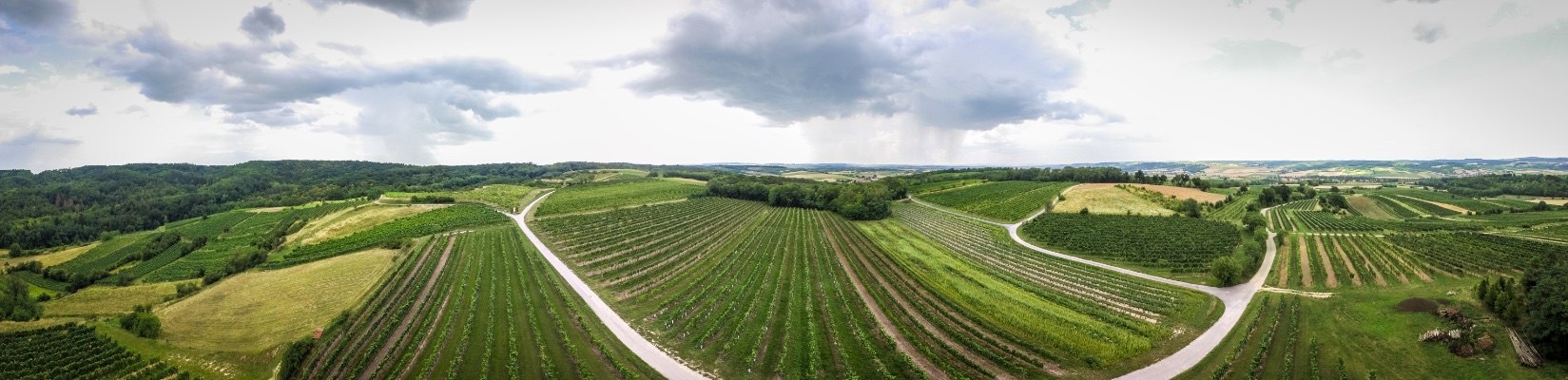 Weinerlebnistour Schmidatal, © Weingut Obenaus/Kastner TV