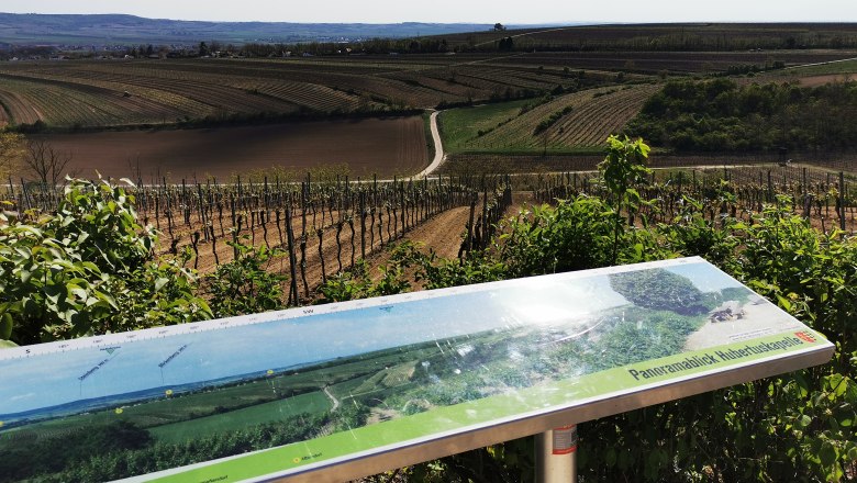 Eine Tafel beschreibt die umgebende Landschaft, © Weinstraße Weinviertel