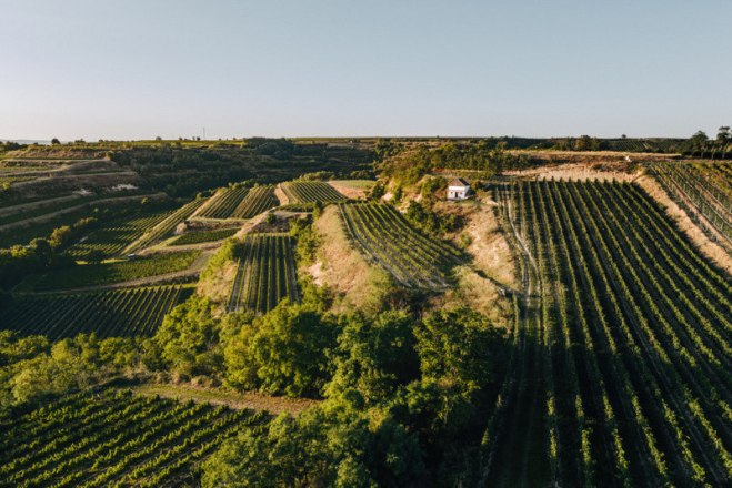Ausblick vom Kellerst&ouml;ckl - Weingut Norbert Bauer, &copy; Martin Mattes