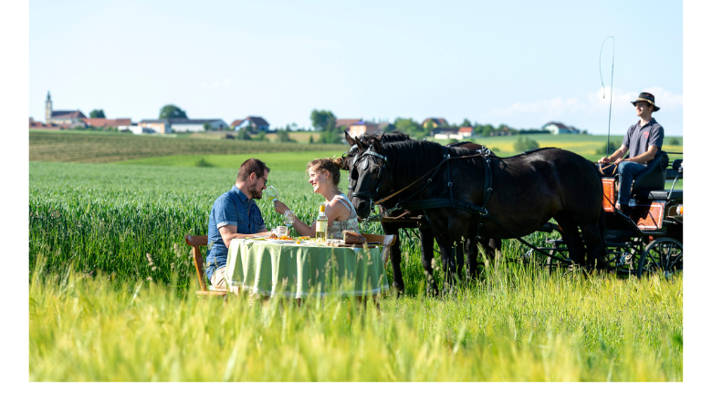 Weingut &amp; Heuriger Reinthaler, © Weinstraße Weinviertel / Michael Himml