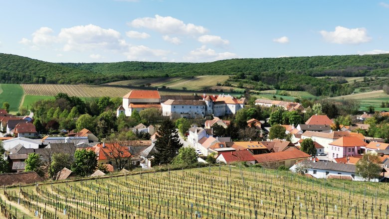 Blick auf ein Dorf mit Weinbergen im Vordergrund und Hügeln im Hintergrund.