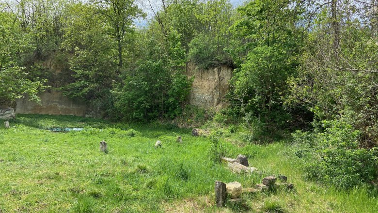 Ein grüner Steinbruch mit Bäumen und Gras, umgeben von Felsen.