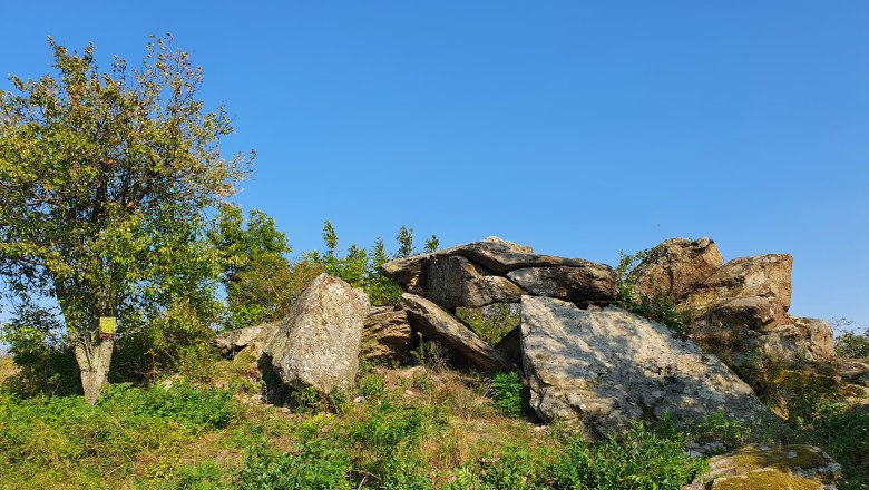 Felsformation mit Baum und Vegetation unter klarem Himmel.
