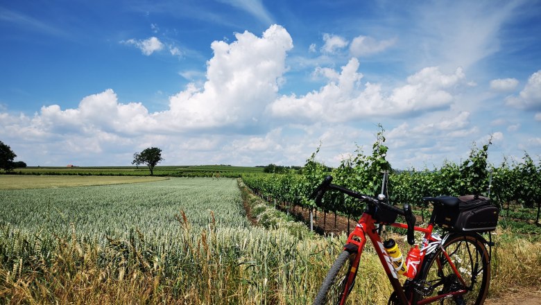 rad.spritz.tour, © Weinstraße Weinviertel