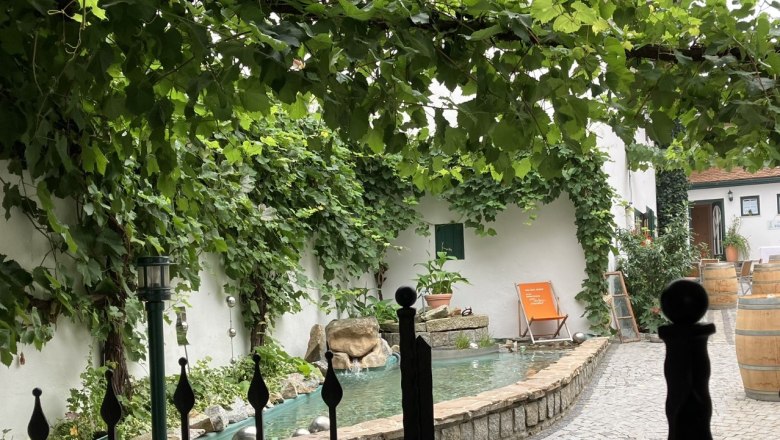 Ein Innenhof mit Weinreben, einem kleinen Teich und einem Liegestuhl.