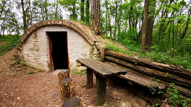 Steinhütte im Wald mit Holztisch und Baumstümpfen als Sitzgelegenheiten.