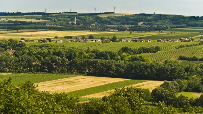 Landschaft mit Feldern, Bäumen und einem Dorf im Hintergrund.