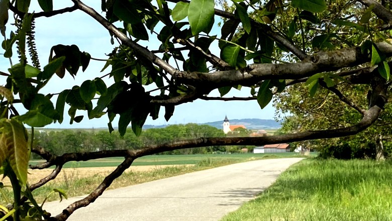 Blick durch Baumzweige auf eine Landstraße und eine Kirche im Hintergrund im Schmidatal.