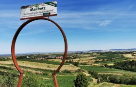 Landschaft mit Weinbergen und einem Schild mit der Aufschrift 'Mailberg Weinstraße Weinviertel'.
