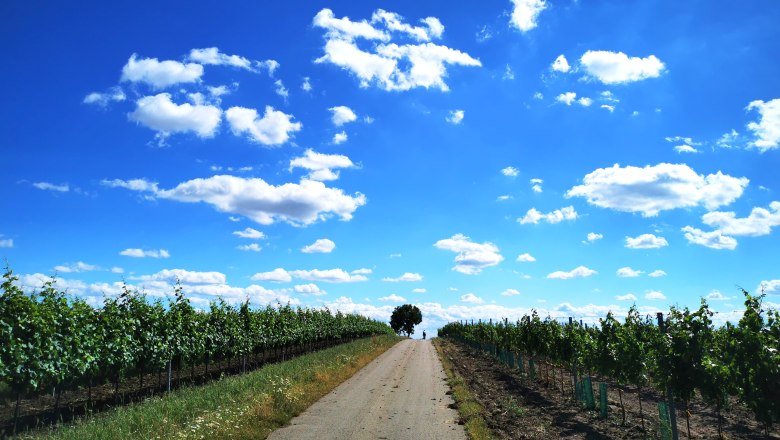rad.spritz.tour, © Weinstraße Weinviertel