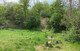 Ein grüner Steinbruch mit Bäumen und Gras, umgeben von Felsen.