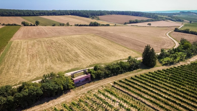 Luftaufnahme von Feldern und Weinbergen in Wullersdorf, Österreich.