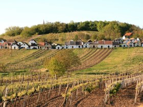 Kellergasse Galgenberg Wildend&uuml;rbach, &copy; Weinviertel Tourismus / Weiss