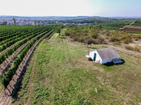 Luftaufnahme einer kleinen H&uuml;tte neben Weinreben in R&ouml;schitz, umgeben von gr&uuml;ner Landschaft und einem Dorf im Hintergrund.