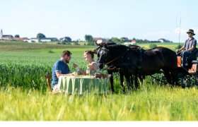 Weingut &amp; Heuriger Reinthaler, © Weinstraße Weinviertel / Michael Himml