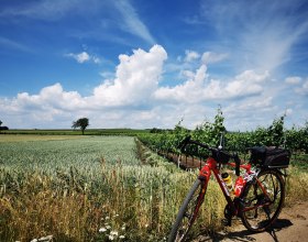 rad.spritz.tour, © Weinstraße Weinviertel