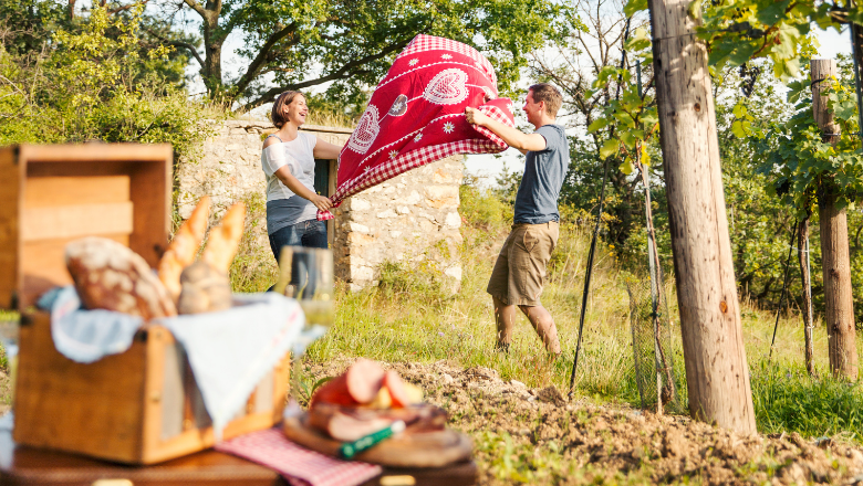 Picknick im Weinviertel, © M. Lifka