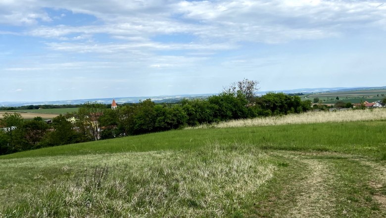 Landschaft mit grüner Wiese, Bäumen und einem Kirchturm im Hintergrund unter blauem Himmel.