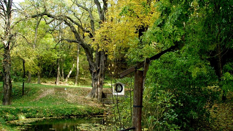 Ein idyllischer Wald mit einem kleinen Teich und einer alten Holzpumpe im Vordergrund.