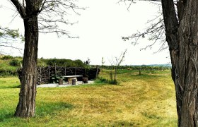 Landschaft mit Bäumen, Tisch und Bänken aus Holz, umgeben von Wiese und Weinreben.