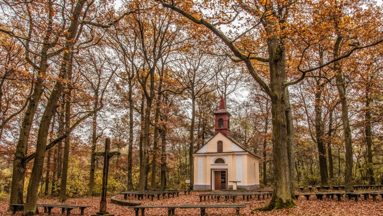 Eine kleine Kapelle im Wald, umgeben von herbstlichen B&auml;umen und Laub auf dem Boden.