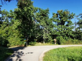 Wenzelsteg, &copy; Retzer Land