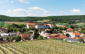 Blick auf ein Dorf mit Weinbergen im Vordergrund und Hügeln im Hintergrund.