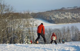 Menschen beim Skifahren auf einem schneebedeckten Hügel mit Bäumen im Hintergrund.