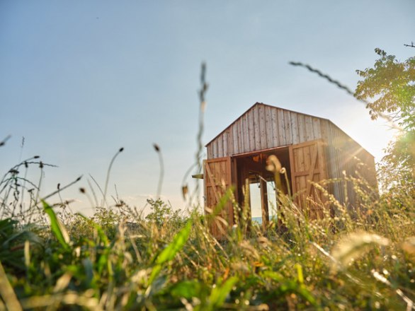 Rosis Hiatah&uuml;tte - ein idyllisches Platzerl - Weingut Hindler, &copy; Pedagraphie
