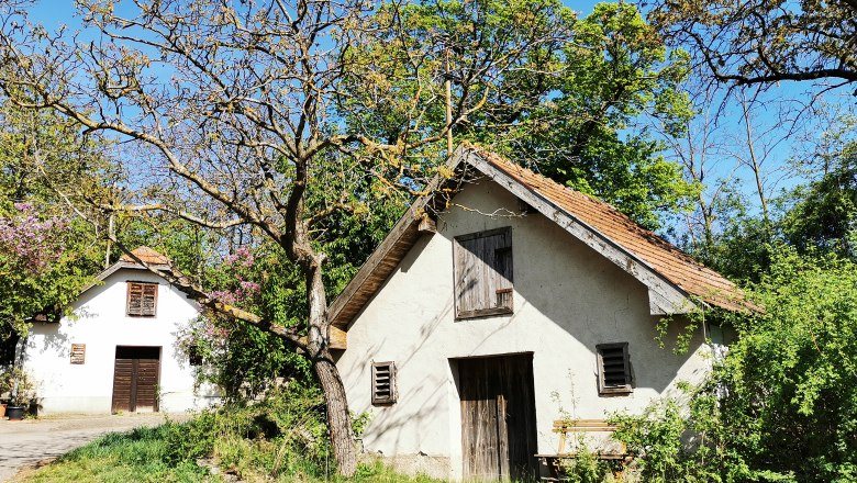 Zwei kleine, traditionelle Weinkeller in einer grünen Umgebung mit blühenden Bäumen und blauem Himmel.