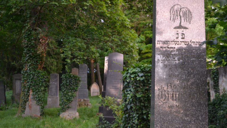 J&uuml;discher Friedhof in Hollabrunn mit alten Grabsteinen und Efeu bewachsenen B&auml;umen.