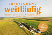 Weinerlebnistour, © Weinstraße Weinviertel 