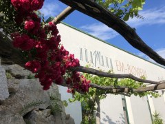 Bio Weingut H&ouml;rmann - In Zuckerschlee, &copy; Bio Weingut H&ouml;rmann