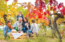 Picknick in Weinviertel, © M.Lifka