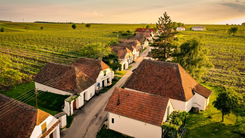 Kellergasse Zellerndorf, © Weinviertel Tourismus GmbH / Robert Herbst