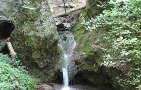 Ein kleiner Wasserfall fließt zwischen moosbewachsenen Felsen in einem Waldgebiet.