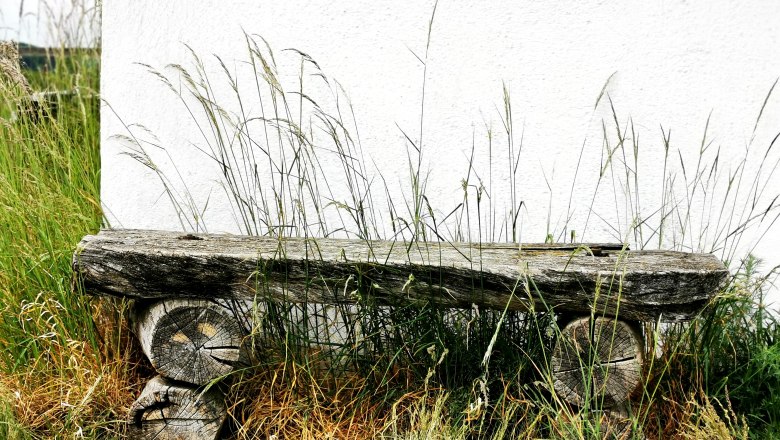 Alte Holzbank vor einer wei&szlig;en Wand, umgeben von hohem Gras.