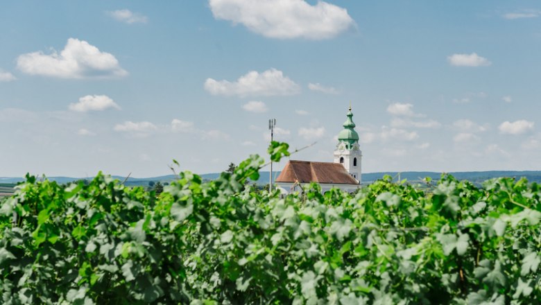 Kirchturm hinter grünen Weinreben unter blauem Himmel mit Wolken.