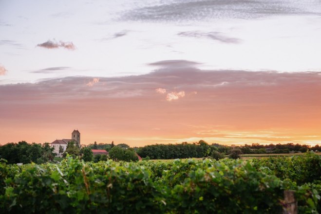 Sunset Tasting - Weingut Sutter, &copy; Martin Mathes