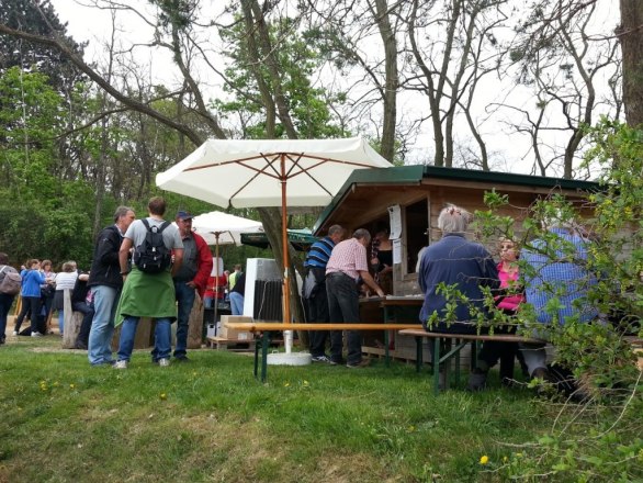 Wetzdorfer Weinwandertag, &copy; Franz Schober