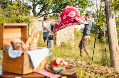 Picknick im Weinviertel, © M. Lifka