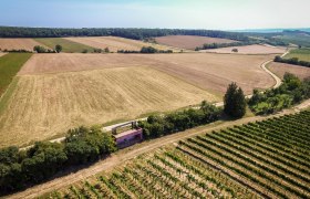 Luftaufnahme von Feldern und Weinbergen in Wullersdorf, Österreich.