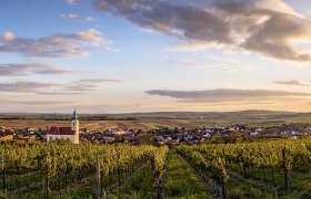 Blick auf Röschitz mit Kirche und Weinbergen im Vordergrund bei Sonnenuntergang.