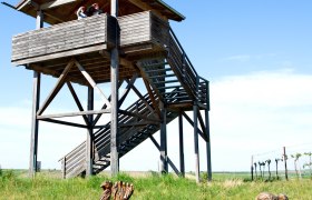 Holzturm mit zwei Personen und Holzskulpturen von V&ouml;geln im Vordergrund auf einer Wiese.