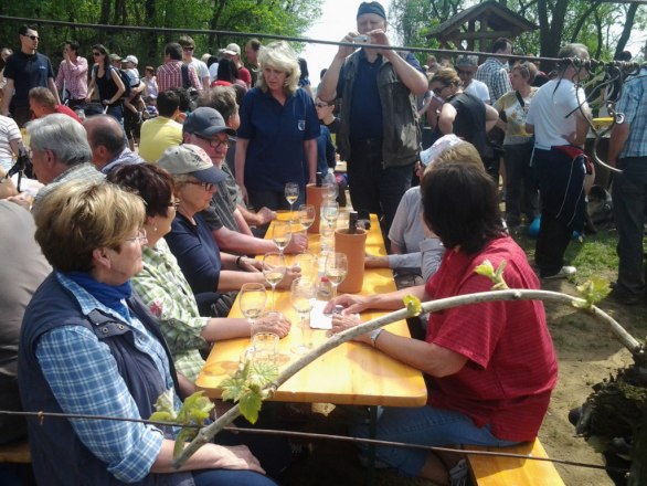 Wetzdorfer Weinwandertag, &copy; Schober