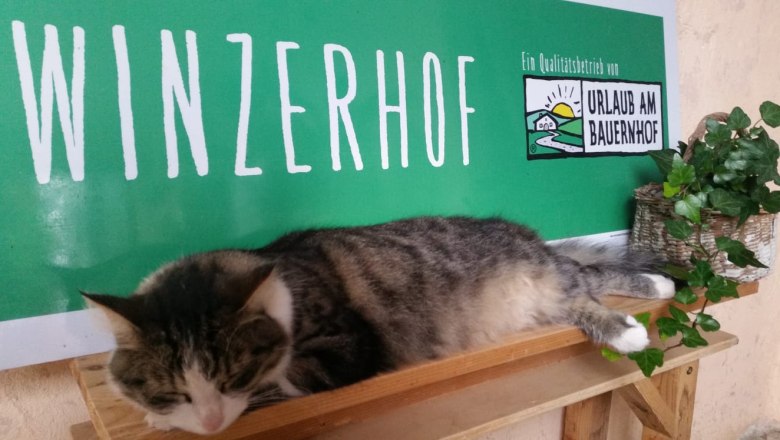 Begrüßung am Winzerhof, © Familie Fleischmann